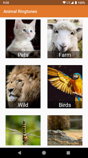 Anteprima dell'app