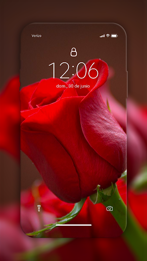 Rose Wallpapers Screen 2
