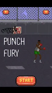 Punch Fury