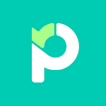 Paymo Project Management & Time Tracking Apk