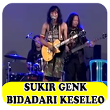 Lagu Reage Bidadari Keseleo icon