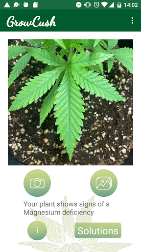 GrowCush - Cannabis detection Screen 3