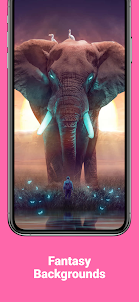 Cute HD Elephant Wallpapers