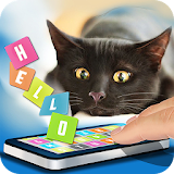 Dictionary Cat Simulator icon