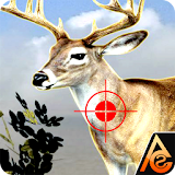 Deer Hunting Sniper Game icon