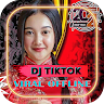 download DJ Tahun Baru 2021 Offline - Dj Tik Tok Viral apk