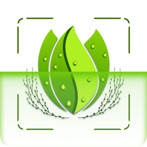 Ai plant identifier by picture apps on google play