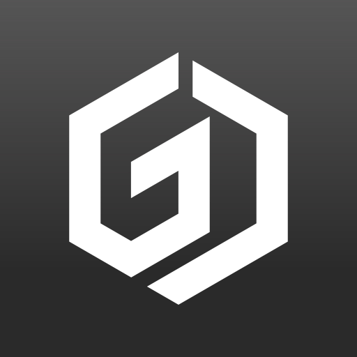 GoChek Camera logo