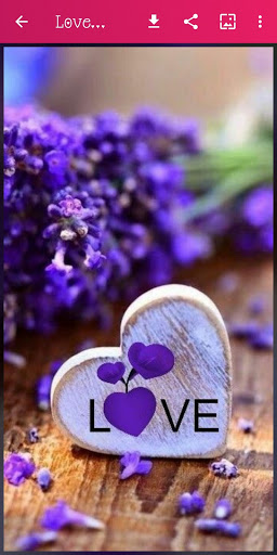 Download Love Dp Images for Whatsapp Free for Android - Love Dp Images for  Whatsapp APK Download 