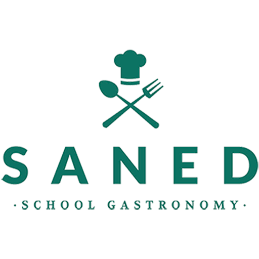 Iara Saned logo