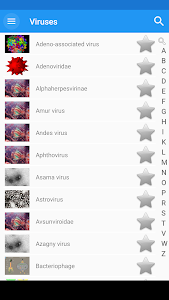 Viruses Unknown