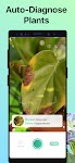 screenshot of PictureThis - Plant Identifier
