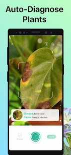 PictureThis - Plant Identifier Screenshot