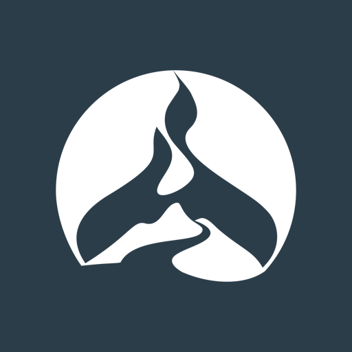 The Pentecostals of Katy logo