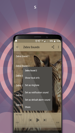 Zebra Sounds Screen 3