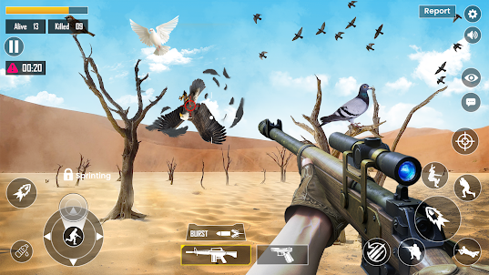 Jungle Bird Hunting Game 3D