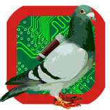 Pigeon Post icon