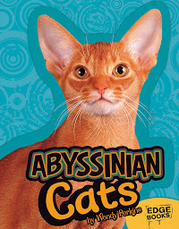 Obraz ikony: Abyssinian Cats