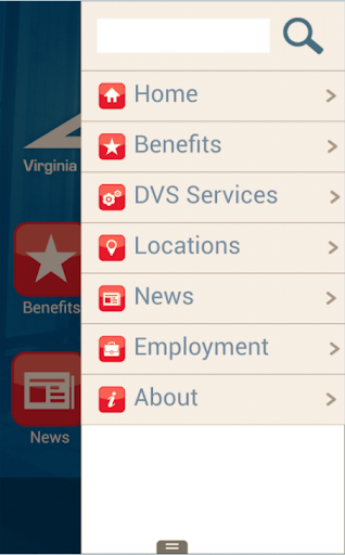 DVS Virginia (2.0) Screen 2