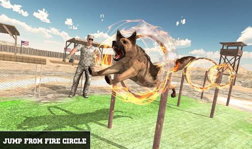The ultimate army dog stunt training game 2019
