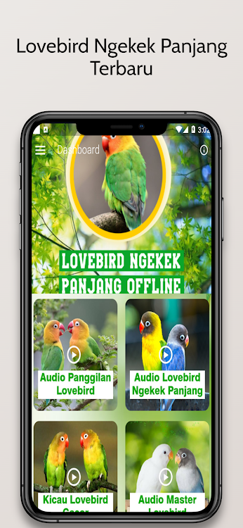 Lovebird Ngekek Panjang - 2.7.4 - (Android)