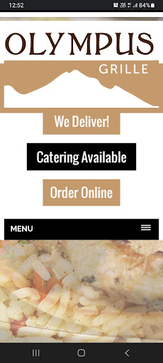 Olympus Grille Screen 2