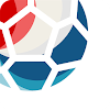 EURO 2016 App icon