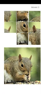 My squirrel Puzzle