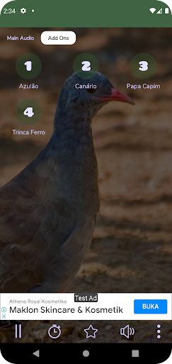 Canto do Lambu 24 Hora Screen 2