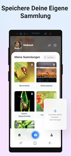 Picture Insect - Insekten ID screenshot 6