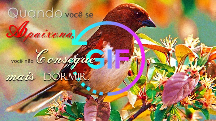 Good morning Gif Portuguese - 2.12.1 - (Android)