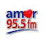 Radio Amor 95.5 FM