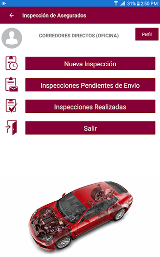 Ancón Inspecciones Screen 2