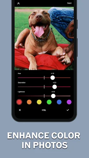 VSCO screenshot 7