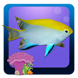 Freshwater Fish Counting Game icon