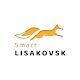 Smart Lisakovsk Download on Windows