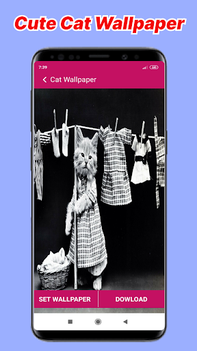 Cat Call You And Cat Wallpaper Screen 2