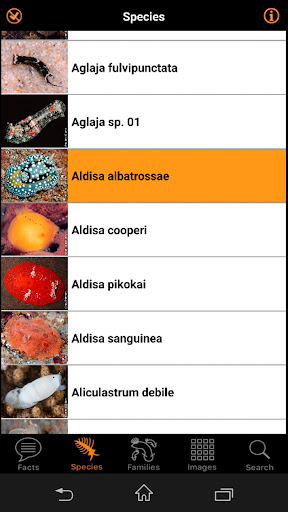 Nudibranch ID Western Pacific Screen 3