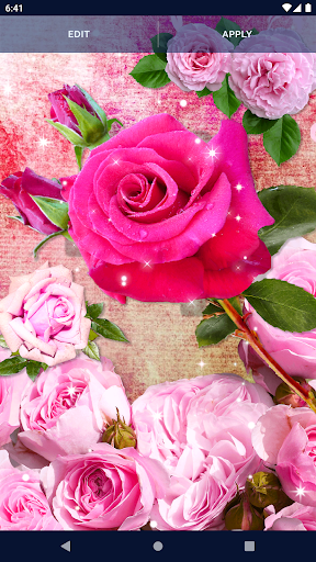 Pink Rose 4K Live Wallpaper - Apps on Google Play