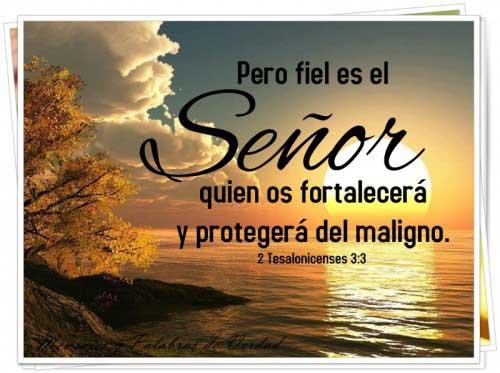 Promesas Biblicas Imagenes Screen 2