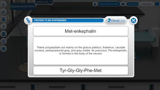 DNA Replication Screen 3