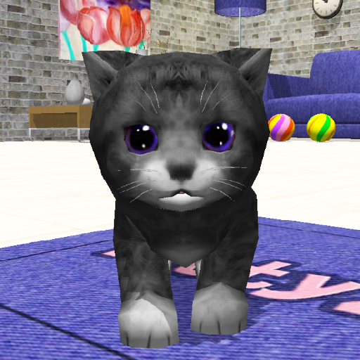 Cats and kittens pet simulator