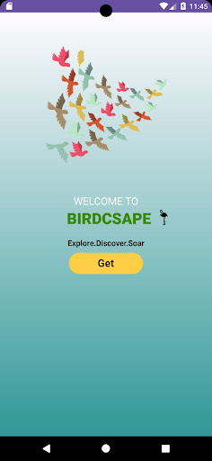 Birdscape