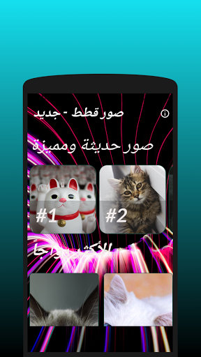 صور بسه - 2021