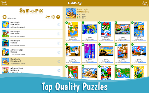 Sym-a-Pix Nonogram Symmetry