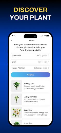 Wesnap Coin Identifier