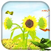 Sunflower 3D LiveWallpaper 3.3 Icon