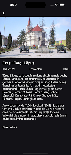 Primăria Târgu Lăpuș Screen 3