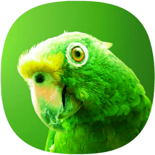 Parakeet Sounds logo