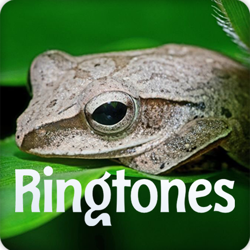 Grass Frog Sound Ringtones